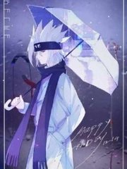 pr九天狐科技升级版